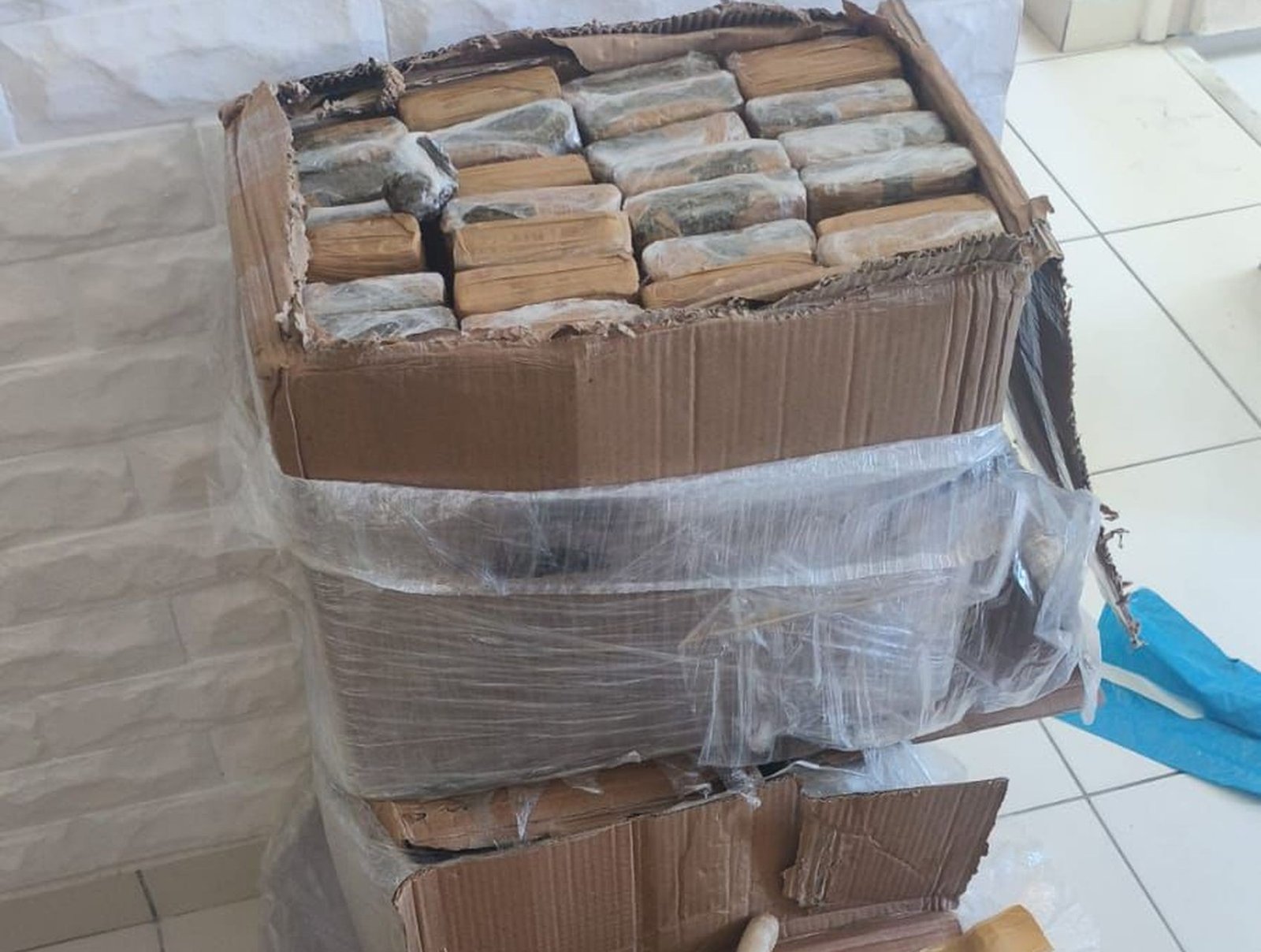 Cerca de 100 quilos de drogas são apreendidos e um suspeito é preso em São Cristóvão