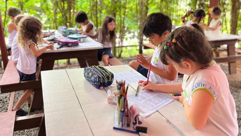 Festival celebra 20 anos do Colégio Marie Jost em vivência multicultural