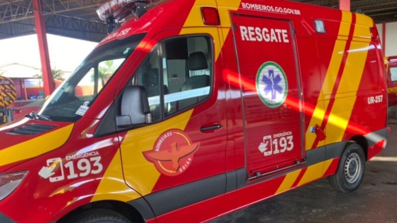 Homem morre após ser atacado por enxame de marimbondos em Aparecida de Goiânia