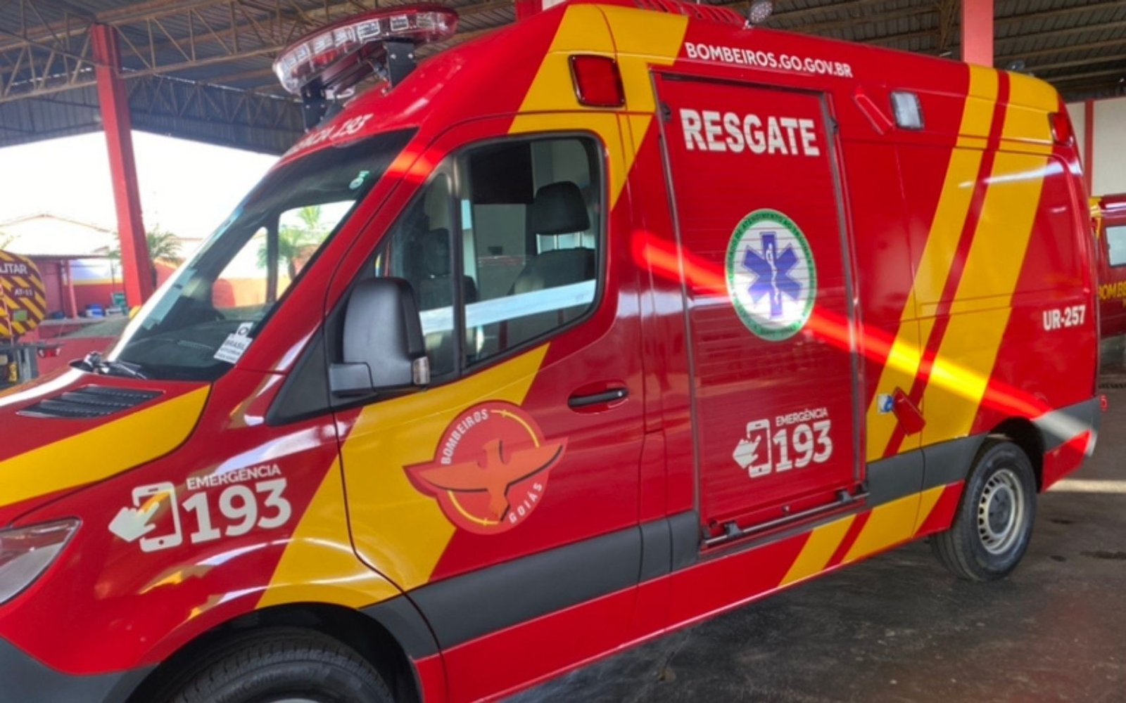 Homem morre após ser atacado por enxame de marimbondos em Aparecida de Goiânia