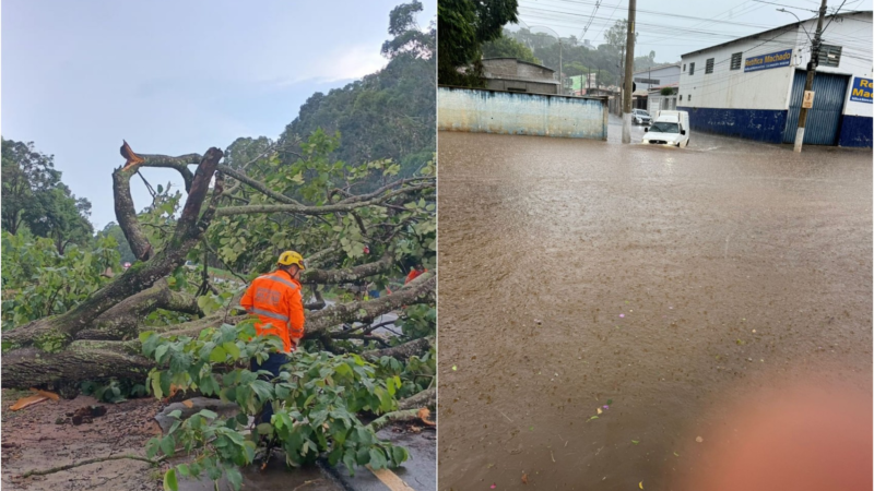 Chuva de granizo e ventos fortes causam estragos, derrubam árvores e alagam ruas em Machado e Brazópolis, MG