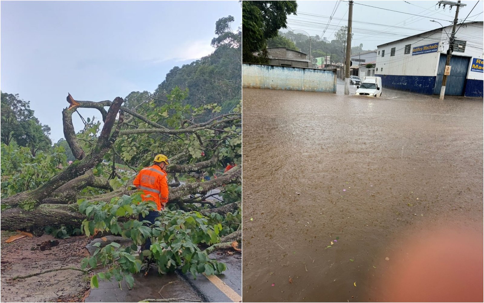 Chuva de granizo e ventos fortes causam estragos, derrubam árvores e alagam ruas em Machado e Brazópolis, MG