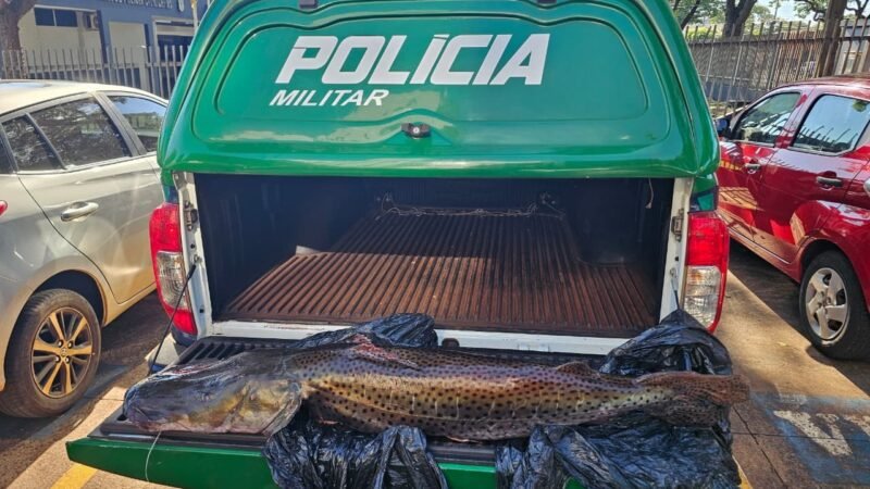 Pintado de 21 kg rende multa de R$ 33 mil a motorista durante fiscalização em MS