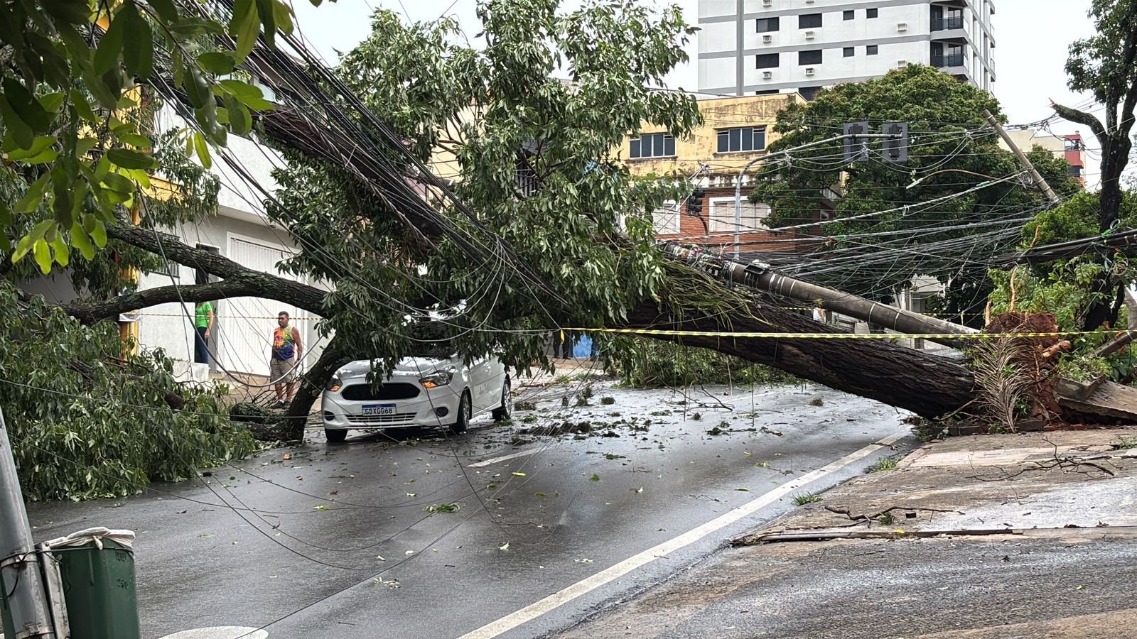 Temporal em Piracicaba: Defesa Civil soma 43 árvores de grande porte caídas e força-tarefa atua na limpeza, liberação de vias e reparos