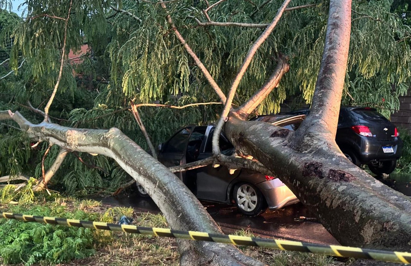 ‘Coisa de 5 segundos’, diz dono de carro atingido por árvore que caiu durante temporal em Ribeirão Preto