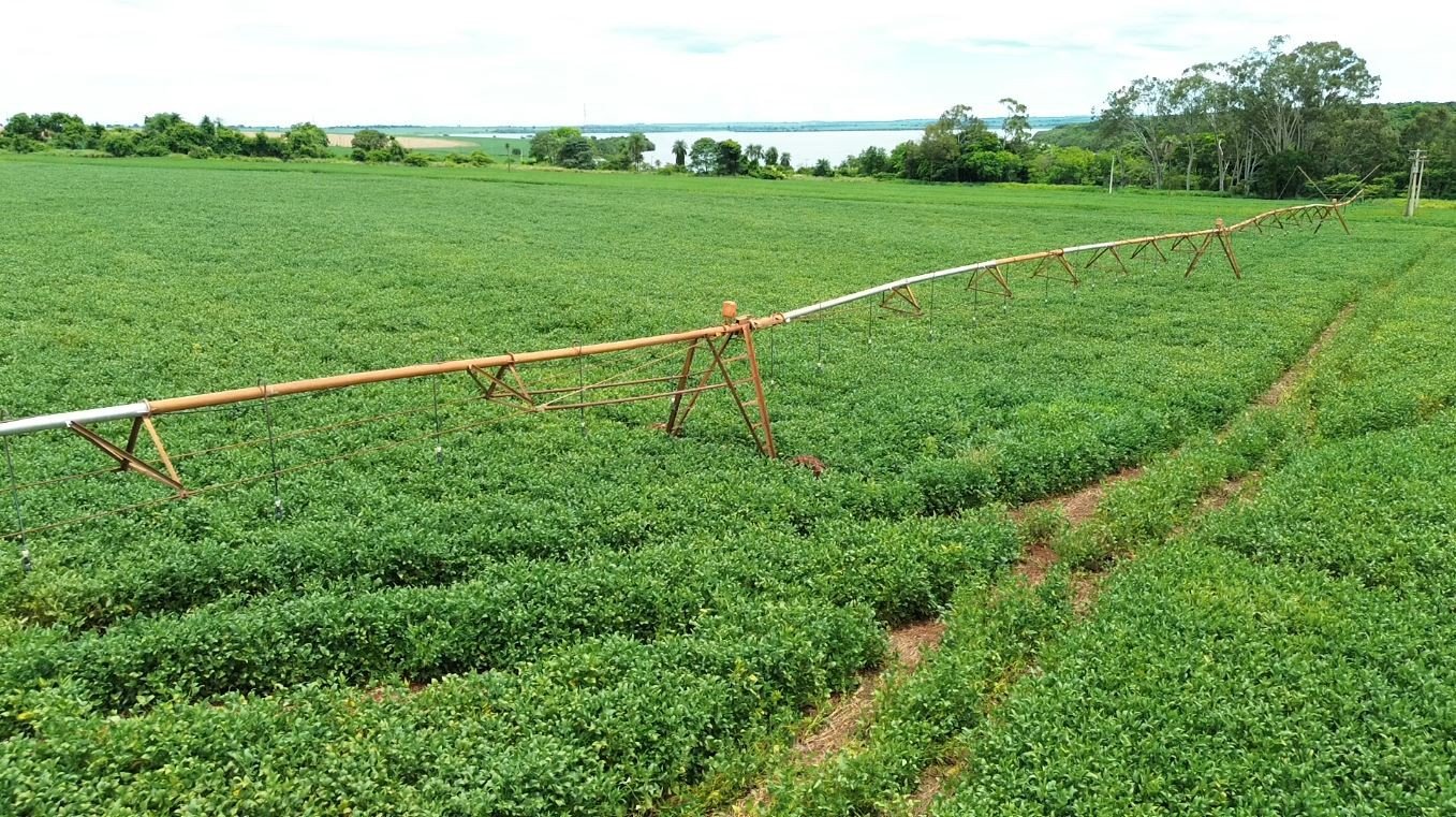 Ladrões miram fios para irrigação e causam prejuízo a produtores rurais no interior de SP