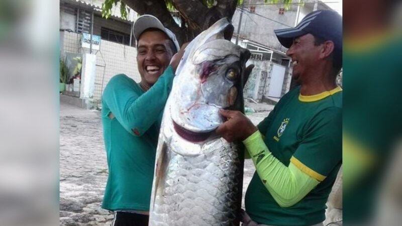 Homem pesca peixe de 2 metros de comprimento e 70 kg, na PB: ‘Fiquei assustado’