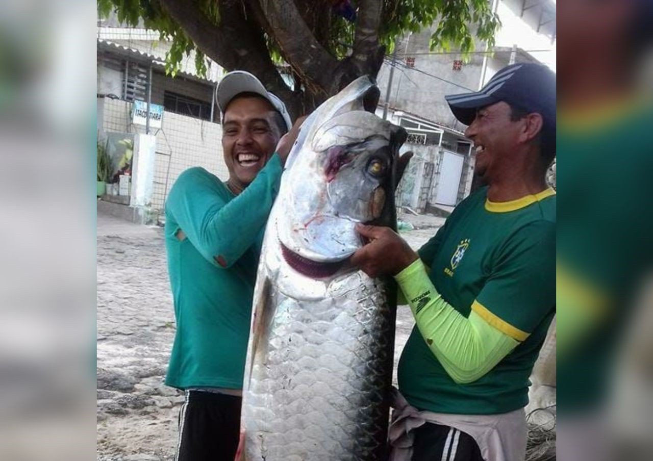 Homem pesca peixe de 2 metros de comprimento e 70 kg, na PB: ‘Fiquei assustado’