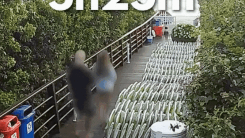 VÍDEO mostra adolescente voltando ao condomínio após agressões ao cão Orelha em SC; imagens expõem principal contradição da investigação