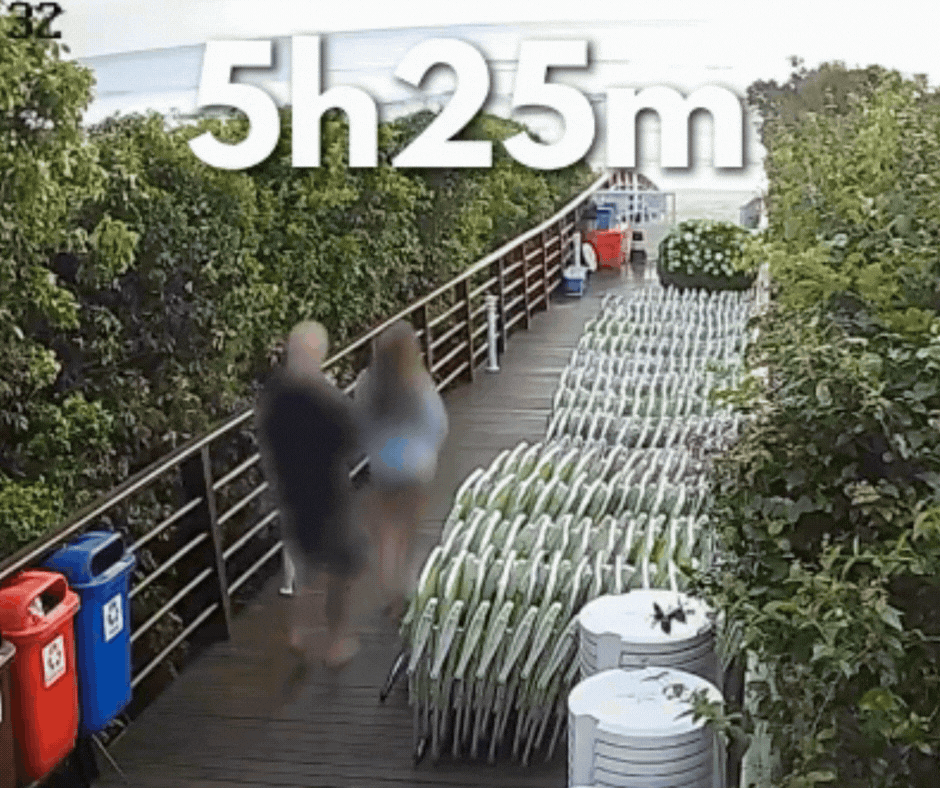 VÍDEO mostra adolescente voltando ao condomínio após agressões ao cão Orelha em SC; imagens expõem principal contradição da investigação