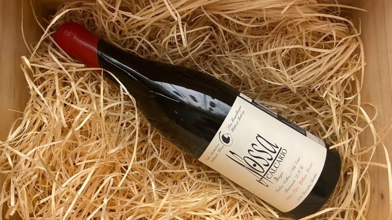 O apreciador do vinho mudou: agora não busca só preço, mas propósito e terroir