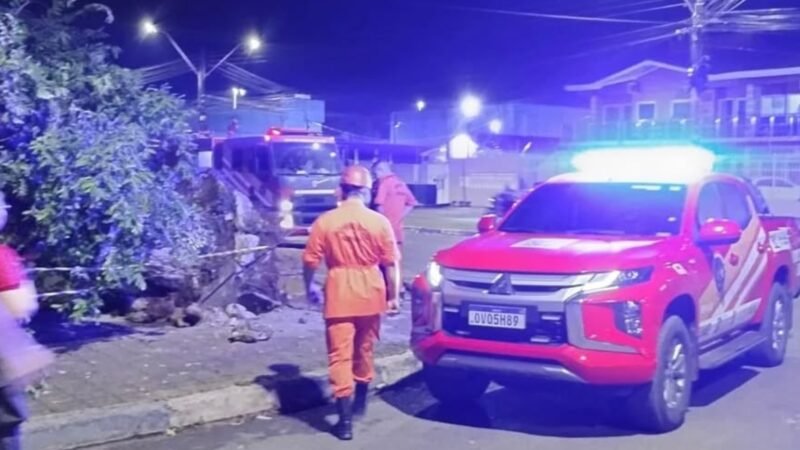Árvore cai, atinge rede elétrica e bloqueia avenida em Boa Vista
