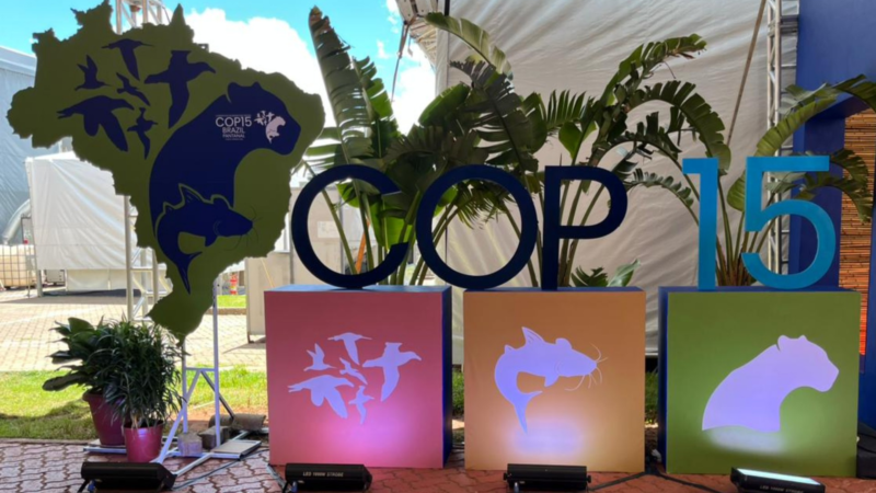 Domingo de COP15 reúne Lula e líderes internacionais em MS; veja a programação