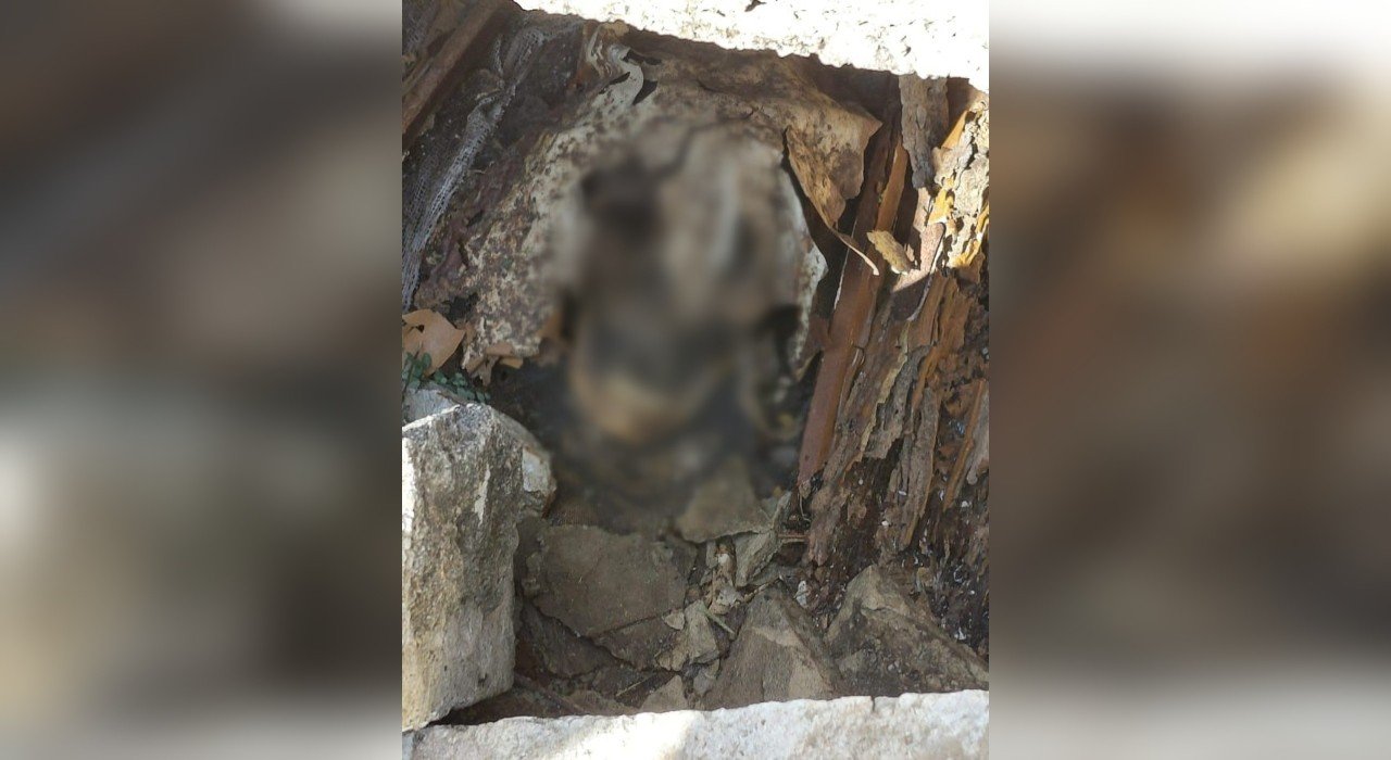 Família visita cemitério e é surpreendida ao ver túmulo violado com crânio exposto em Sorocaba: ‘Cena nada agradável’