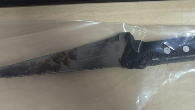 Mulher é presa suspeita de esfaquear jovem no pescoço em Boa Vista