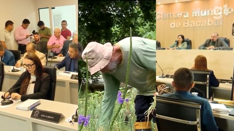 Câmara de Bacabal aprova lei que proíbe pulverização aérea de agrotóxicos