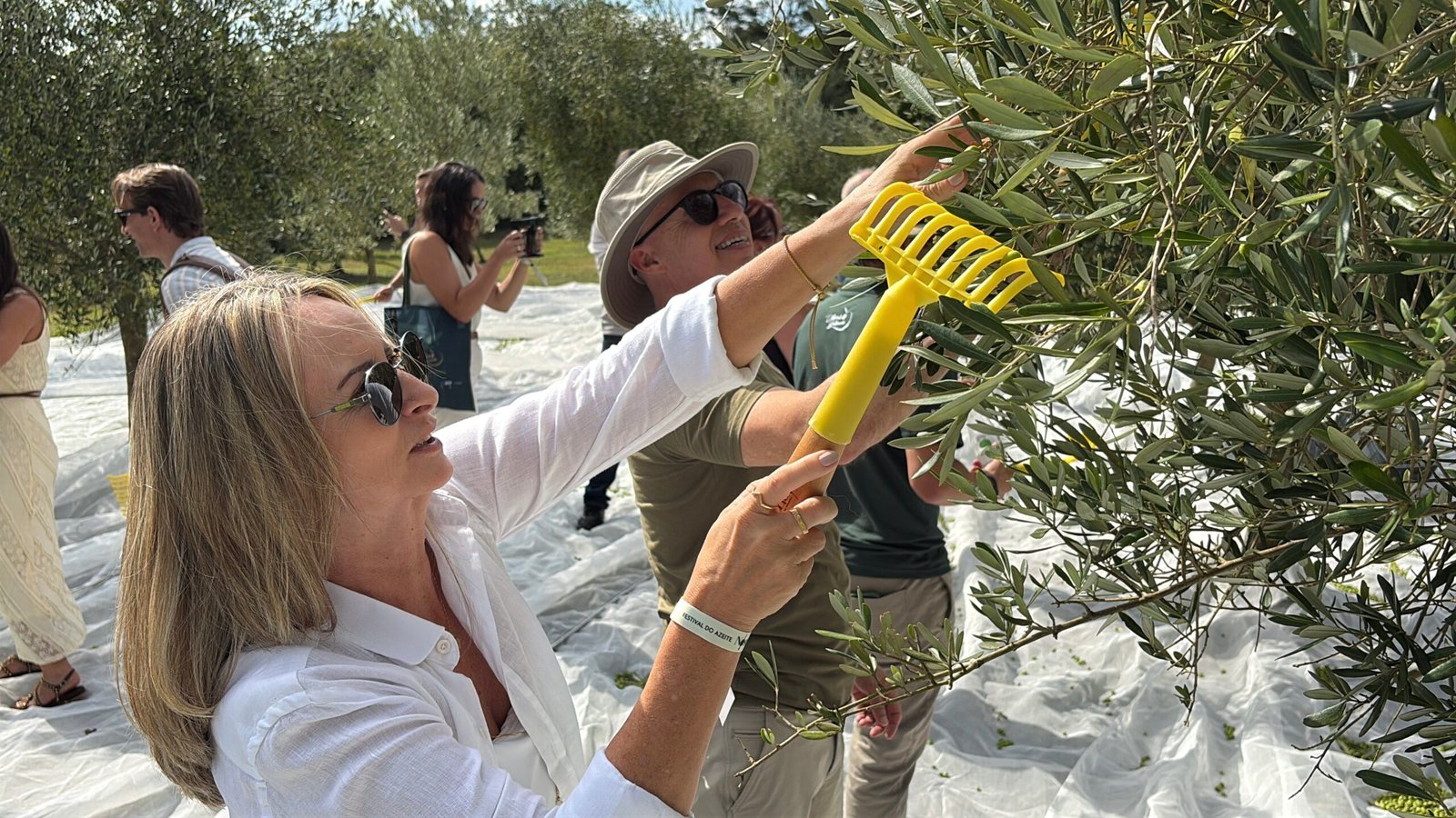 Azeites de oliva sabor bergamota até trufas negras: festival em Gramado traz experiência de sabores inusitados