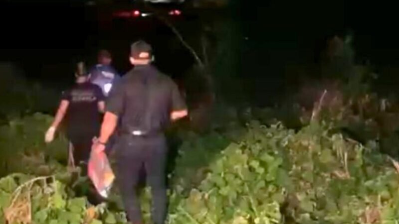 Exame de DNA deve confirmar se ossada achada em mata é de idoso desaparecido há 2 meses no AC