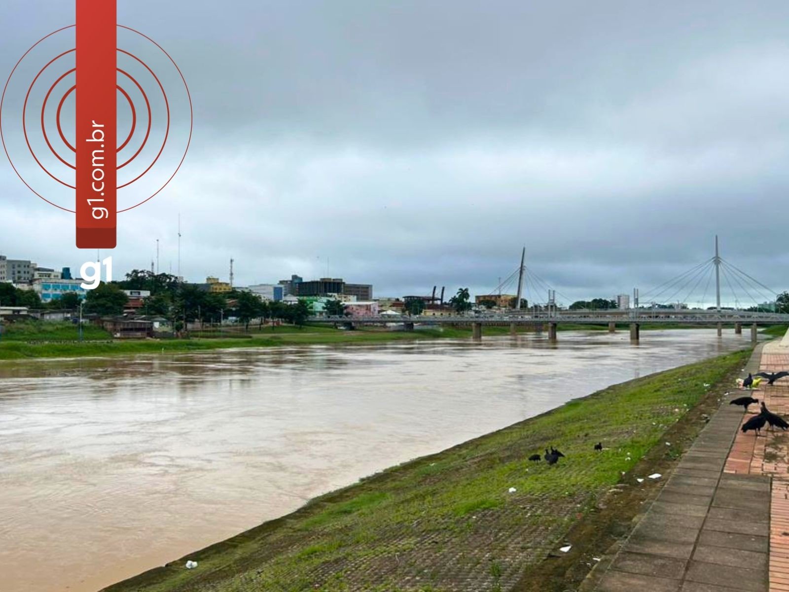 Rio Acre volta a subir e fica a menos de 1 metro da cota de alerta em Rio Branco