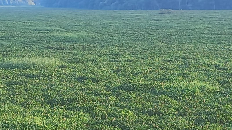 Mergulhador de empresa terceirizada morre após acidente durante manutenção no Rio Tietê em Barra Bonita