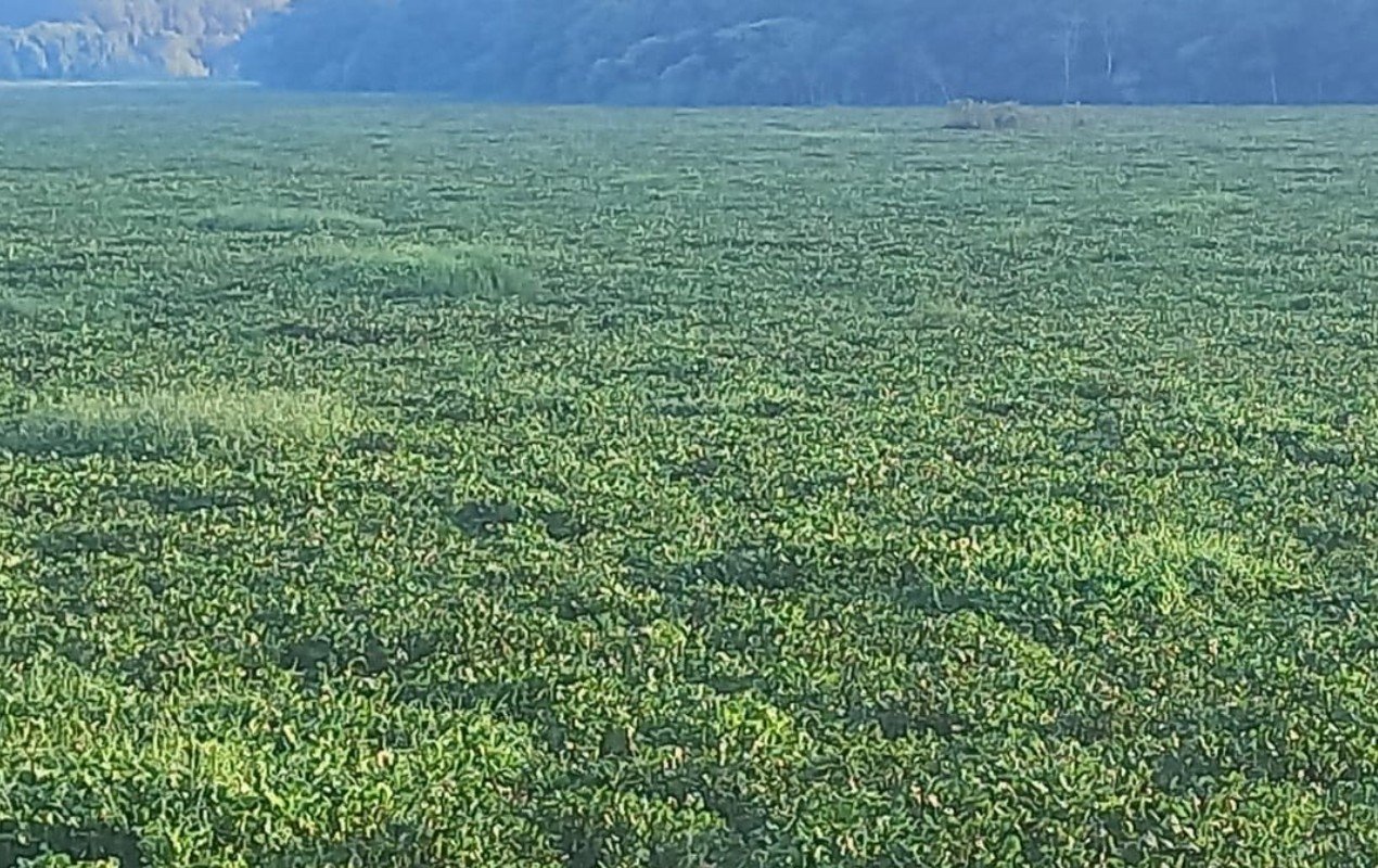 Mergulhador de empresa terceirizada morre após acidente durante manutenção no Rio Tietê em Barra Bonita