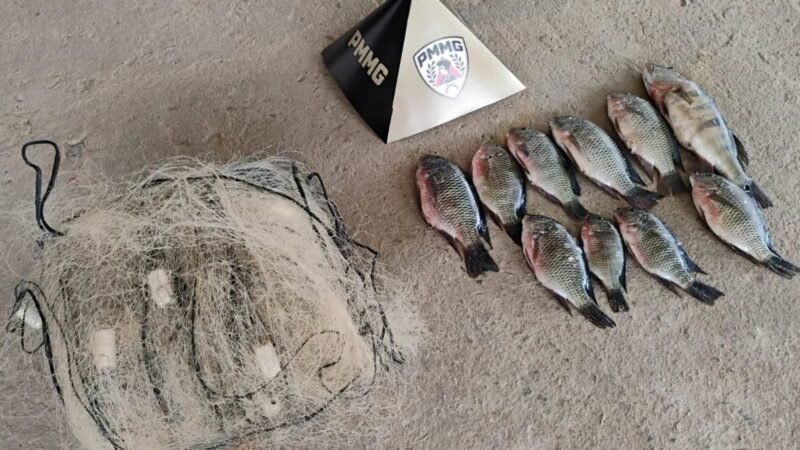 Pesca ilegal, terras raras e atentado em velório: veja as mais lidas da semana no g1 Sul de Minas