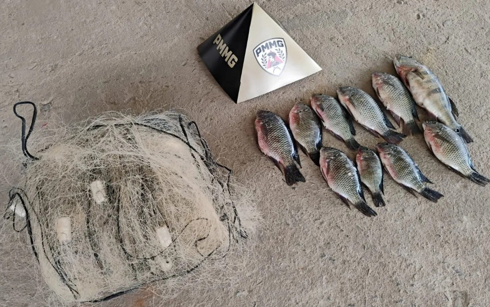 Pesca ilegal, terras raras e atentado em velório: veja as mais lidas da semana no g1 Sul de Minas