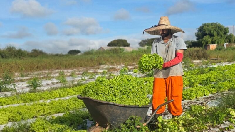 Prefeitura de Montes Claros conta com Programa de Desenvolvimento Rural