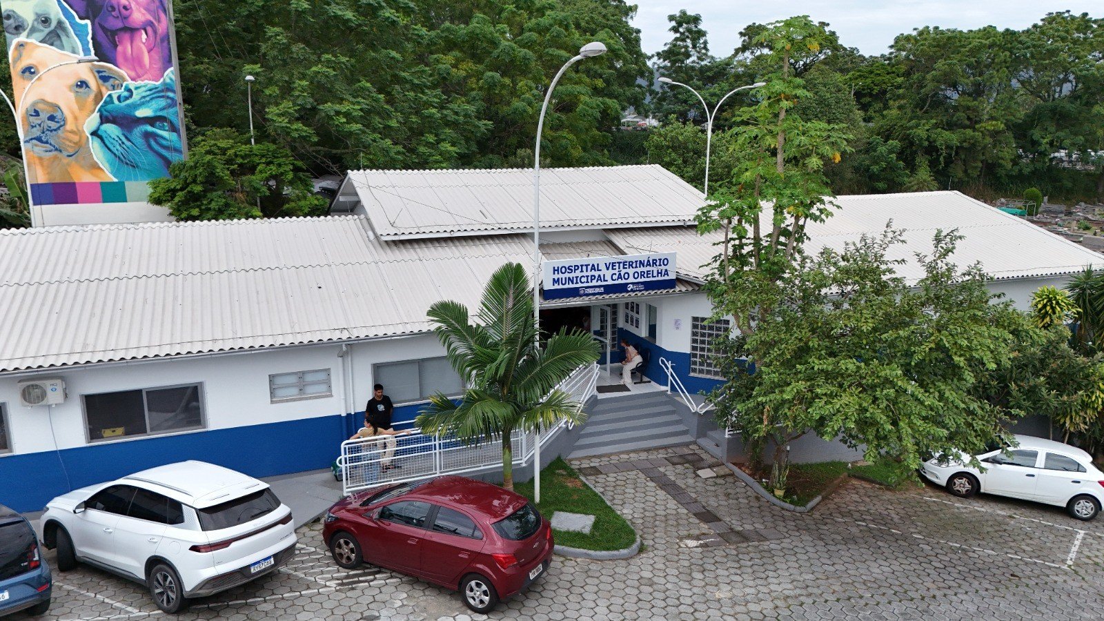 Hospital Veterinário de Florianópolis terá serviços gratuitos; veja como vai funcionar e quem será atendido
