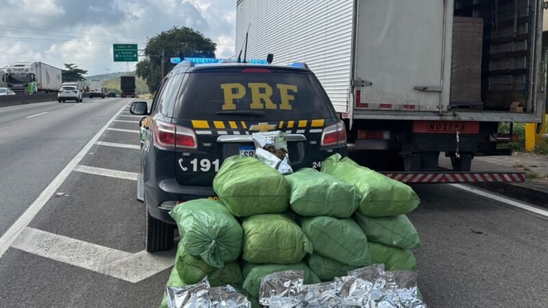 PRF prende caminhoneiro com cerca de 116 kg de maconha na Via Dutra, em Barra Mansa