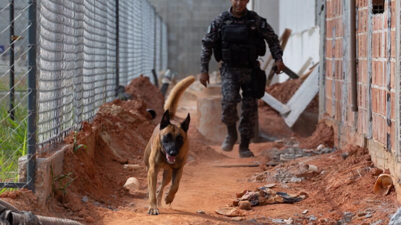 Cão Hulk que ajudou a encontrar 48 toneladas de drogas no RJ visita obras de novo batalhão em Volta Redonda
