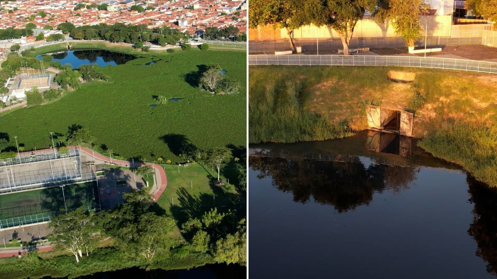 Vídeo: lagoa em Teresina fica quase totalmente coberta por aguapés; moradores denunciam esgoto e mau cheiro