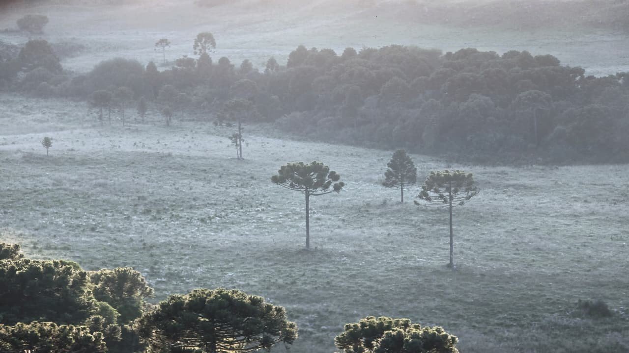 Onda de frio: temperaturas despencam no Centro-Sul do país neste sábado; há chance de chuva congelada nas serras do Sul