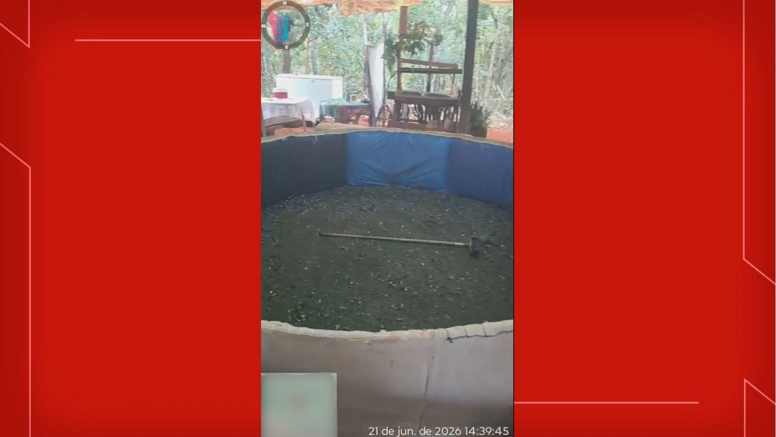 Rinha de galos: PM encontra animais feridos e desarticula esquema no DF