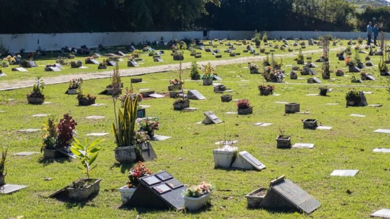 Sepultamento de cães e gatos amplia demanda por jazigos