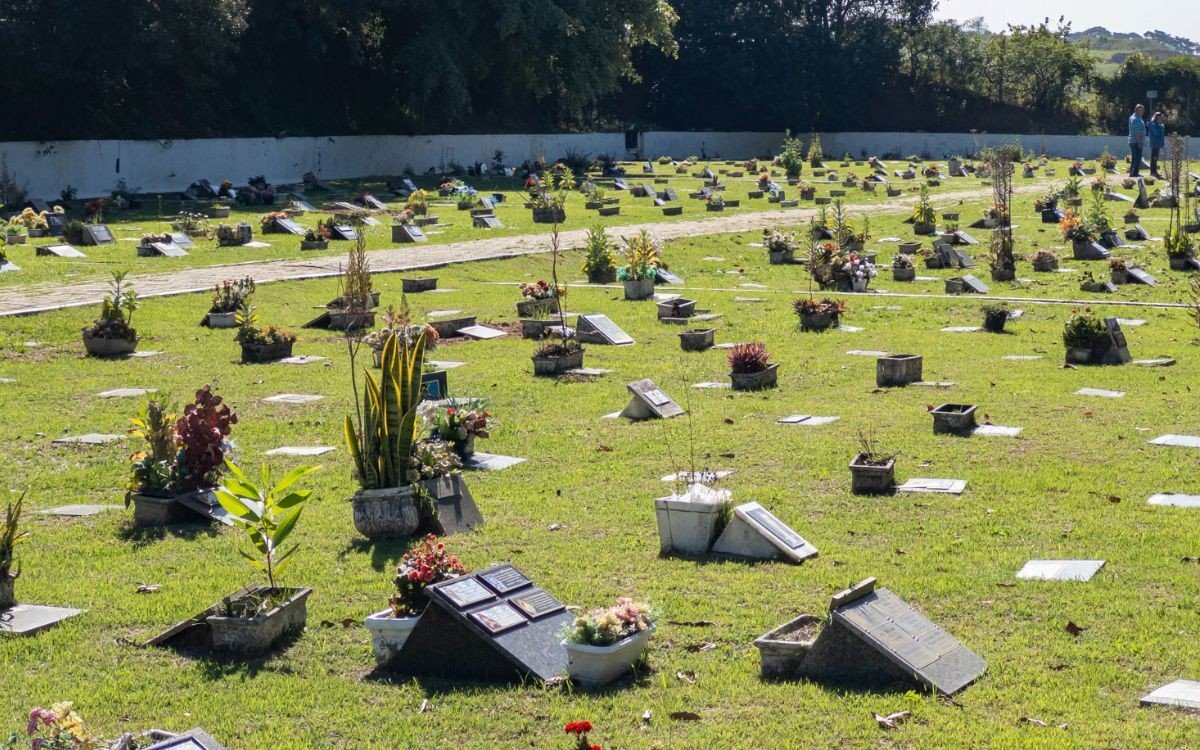 Sepultamento de cães e gatos amplia demanda por jazigos