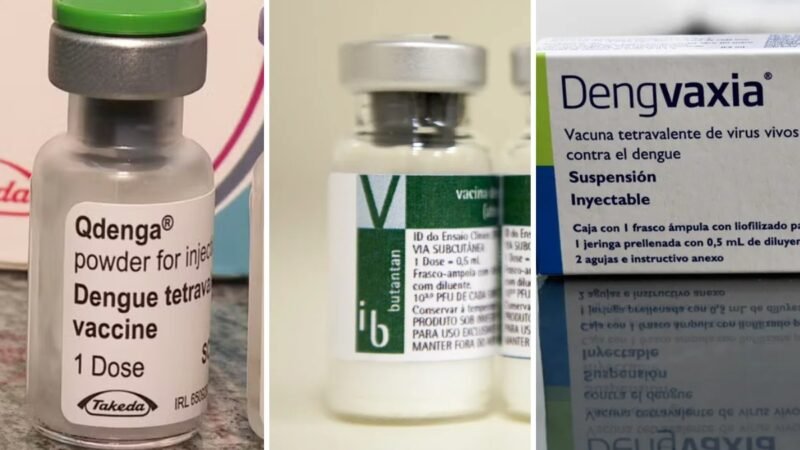 Vacinas contra a dengue: quem pode tomar Qdenga, Butantan-DV e Dengvaxia — e quem fica de fora