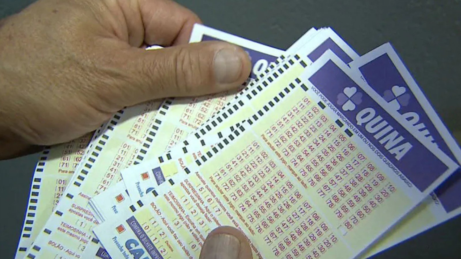 Resultado da Quina concurso 7062: aposta do Piauí leva mais de R$ 12 mil; veja mais prêmios