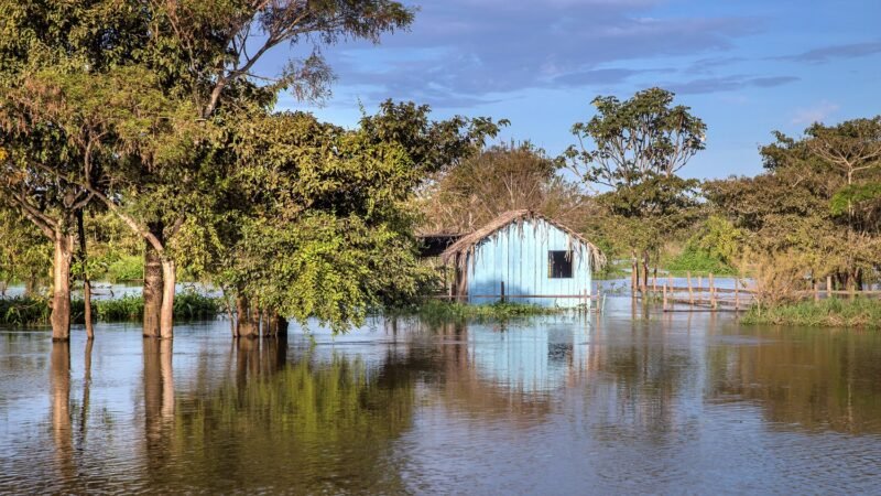 Exposição ‘Rio que Alimenta’ reúne fotografias sobre a relação entre comunidades e os rios em Santarém