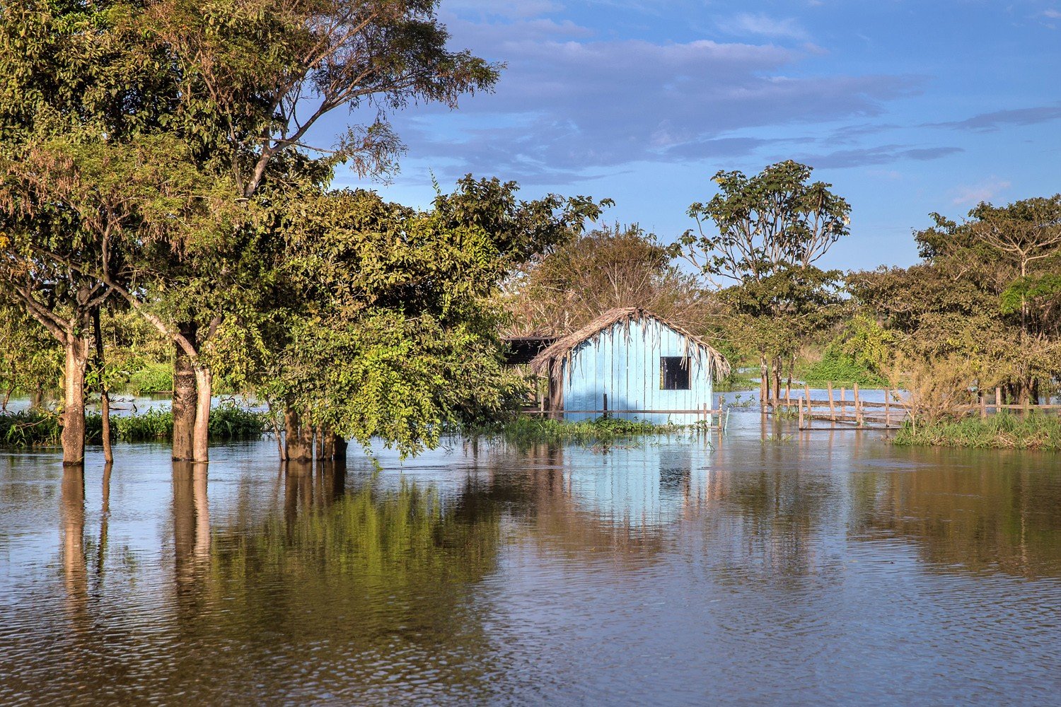 Exposição ‘Rio que Alimenta’ reúne fotografias sobre a relação entre comunidades e os rios em Santarém