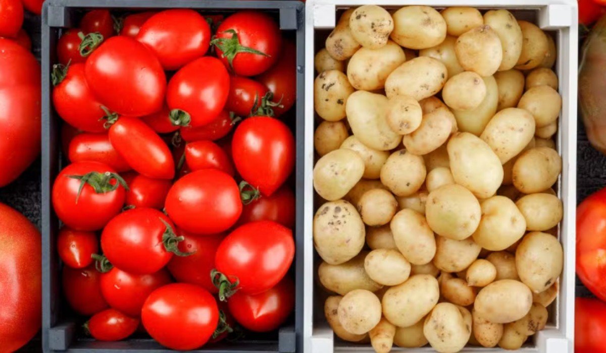 Tomate cai quase 40%, mas batata e feijão puxam alta da cesta básica que chega a R$ 293,98 em julho em Manaus
