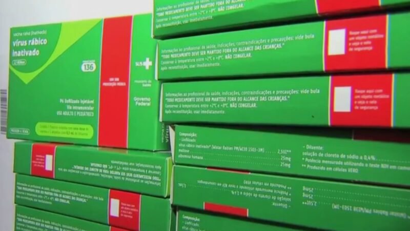 Campinas registra 1º caso de raiva em gato em 10 anos e busca pessoas que tiveram contato com o animal