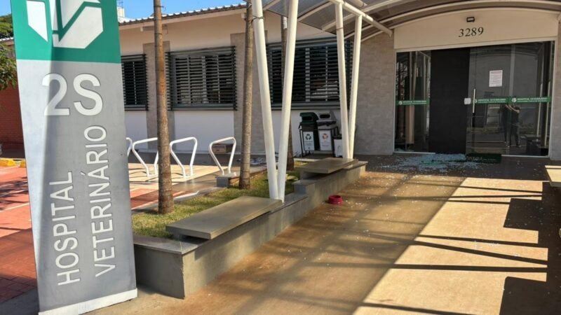 Morte de 14 cães envenenados por chumbinho é investigada em MG