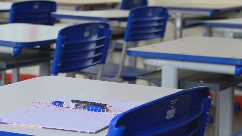 Eleições 2026: Mato Grosso tem 84 mil eleitores analfabetos