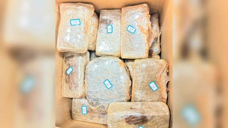 Polícia intercepta carro com 47 tabletes de ‘supermaconha’ e apreende até cão de raça com suspeito