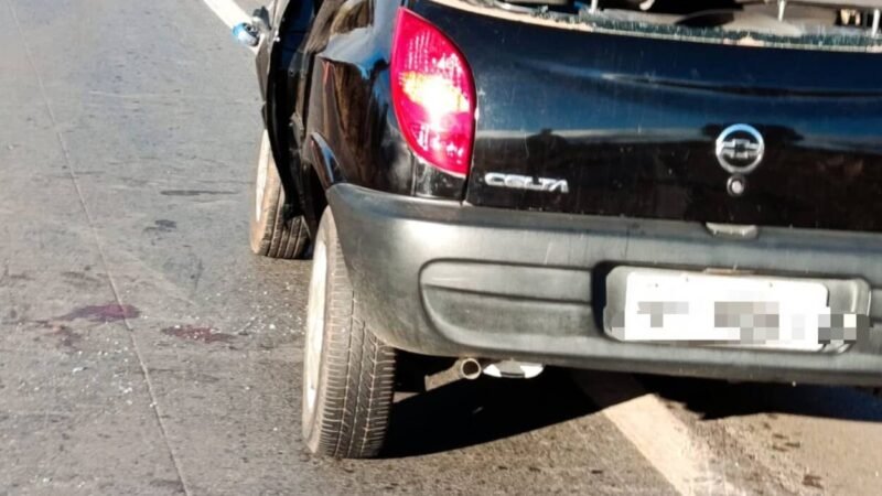 Carro bate em cavalo na BR-365 e deixa quatro feridos, incluindo idosa de 100 anos