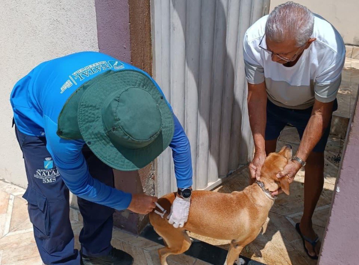 Natal tem Dia D de vacinação antirrábica com 95 pontos neste sábado (26); veja locais