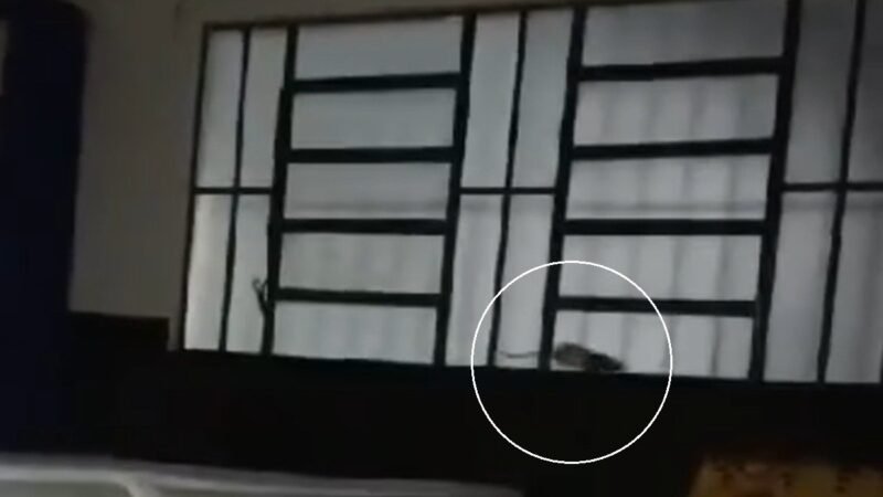 Casa de Passagem que acolhe pessoas em situação de rua é alvo de denúncias em Teresópolis