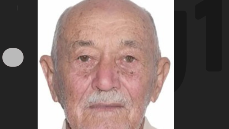 Idoso de 86 anos morre após ataque de abelhas em zona rural de cidade do sudeste da Bahia
