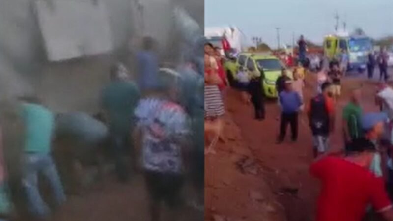 Vídeo: carreta carregada com porcos é saqueada após tombar na BR-070 em MT